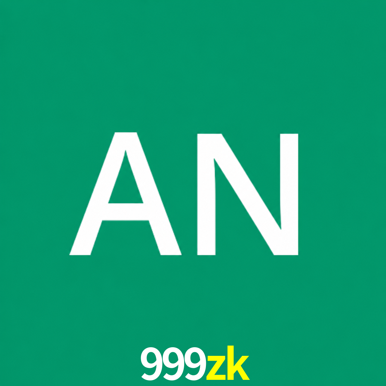 Adi Nugroho - Founder & CEO 999zk Indonesia